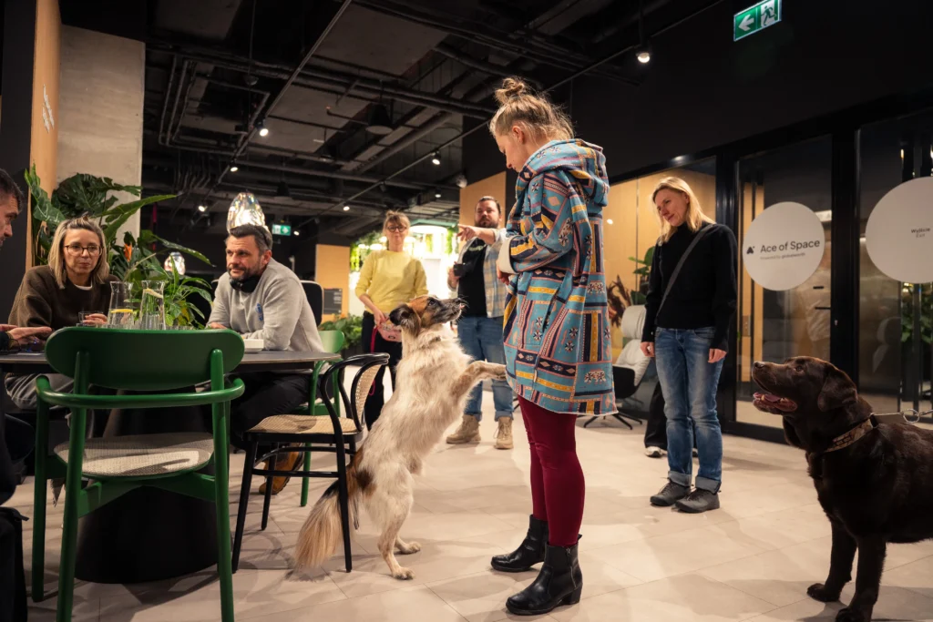 dog-friendly office, serial networkers
